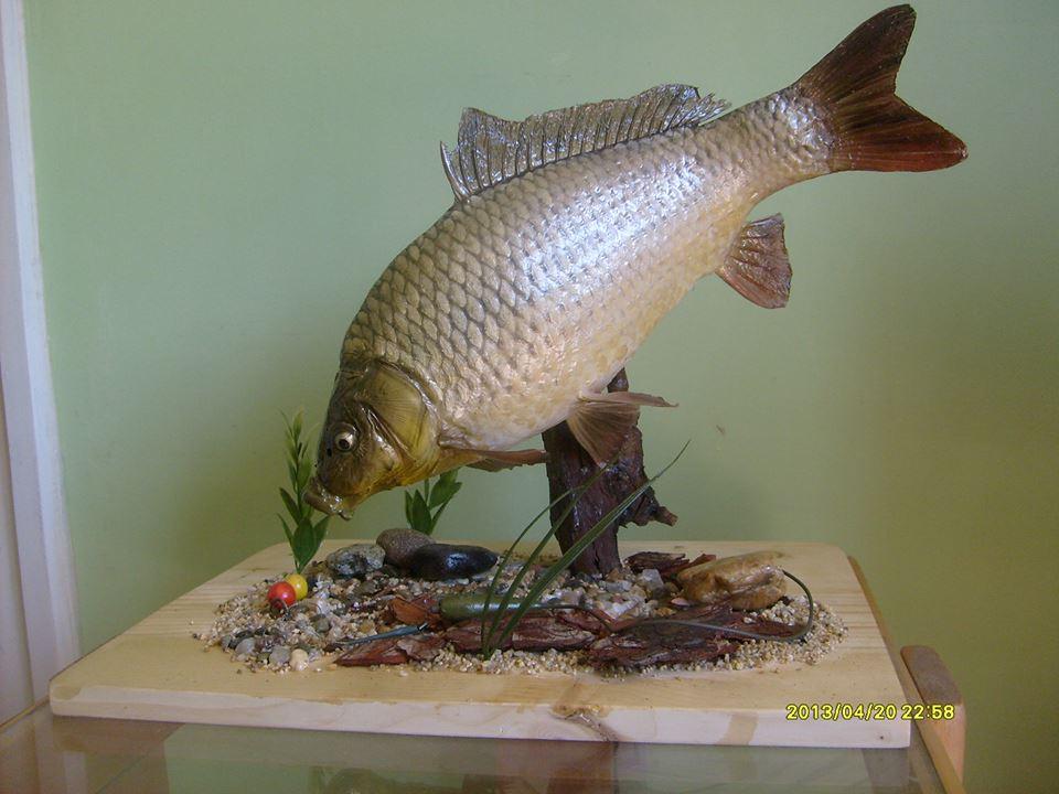 my hobby  - 1166331874540279370518913714n.jpg